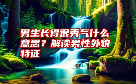 秀氣男意思|说男生长得秀气是什么意思，是帅的意思吗